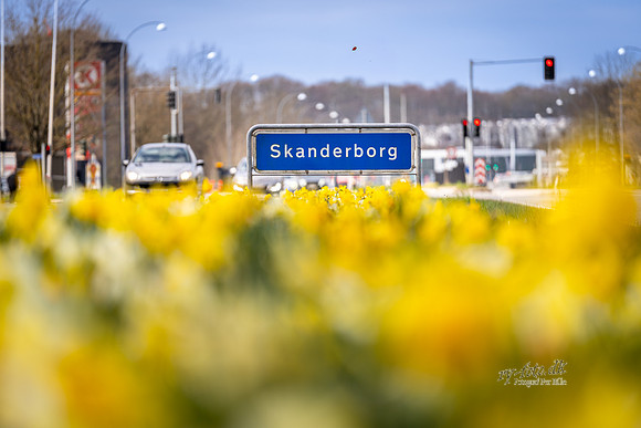 Skanderborg Skilt - forår-web- Fotograf Per Bille-20260416-AAA09241