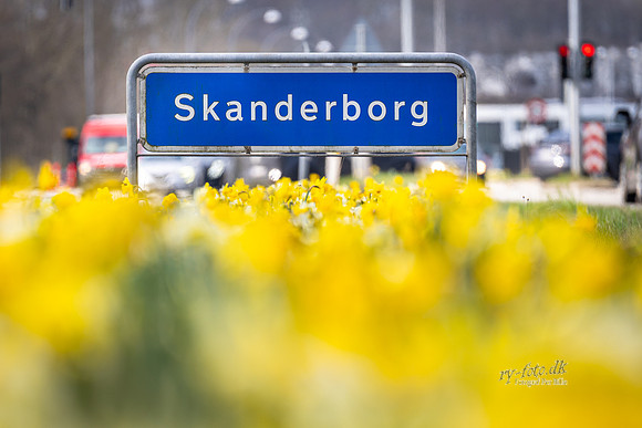 Skanderborg Skilt - forår-web- Fotograf Per Bille-20260416-AAA09244