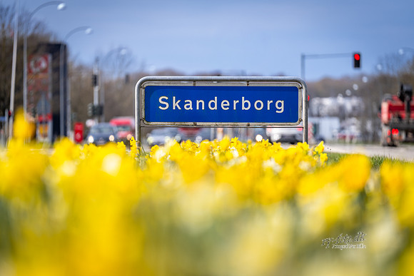 Skanderborg Skilt - forår-web- Fotograf Per Bille-20260416-AAA09246