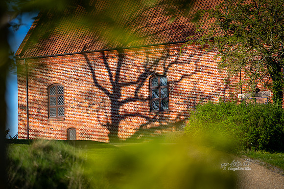 -web- Fotograf Per Bille-20260429-AAA00486