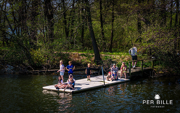 Ry Flyder-web- Fotograf Per Bille-20260502-DJI_20260502135952_0016_D