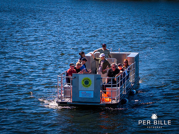 Ry Flyder-web- Fotograf Per Bille-20260502-DJI_20260502141027_0044_D