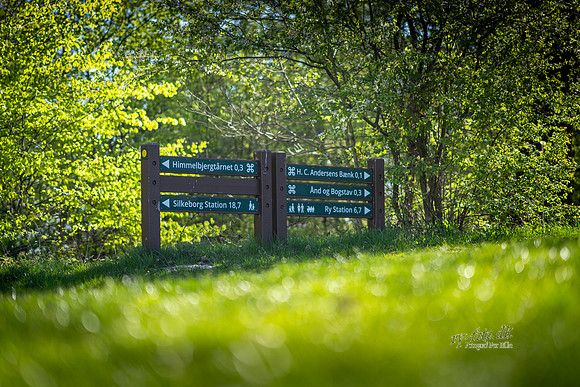 Himmelbjerget-web- Fotograf Per Bille-20260501-AAA00894