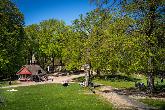 Himmelbjerget-web- Fotograf Per Bille-20260502-AAA01380