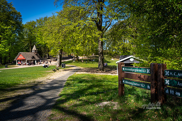 Himmelbjerget-web- Fotograf Per Bille-20260502-AAA01382