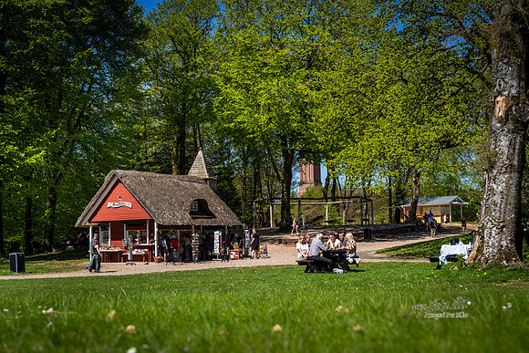 Himmelbjerget-web- Fotograf Per Bille-20260502-AAA01387