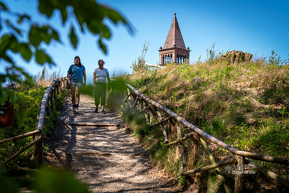 Himmelbjerget-web- Fotograf Per Bille-20260502-AAA01433