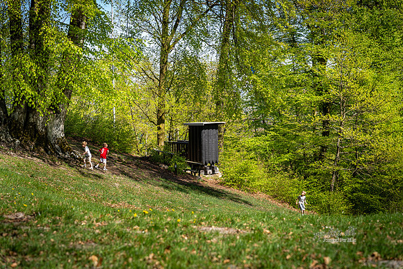 Himmelbjerget-web- Fotograf Per Bille-20260502-AAA01401