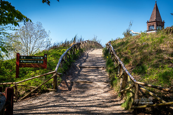 Himmelbjerget-web- Fotograf Per Bille-20260502-AAA01439