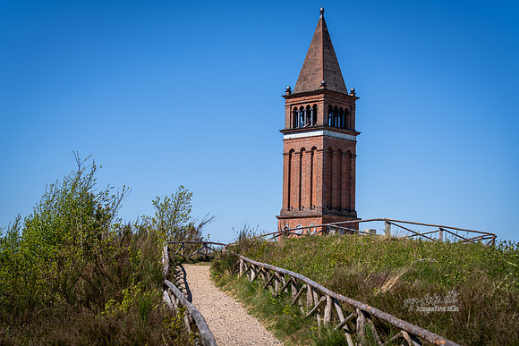 Himmelbjerget-web- Fotograf Per Bille-20260502-AAA01452