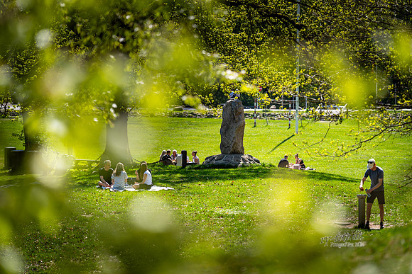 Himmelbjerget-web- Fotograf Per Bille-20260502-AAA01527