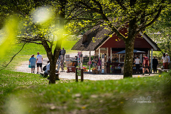 Himmelbjerget-web- Fotograf Per Bille-20260502-AAA01532