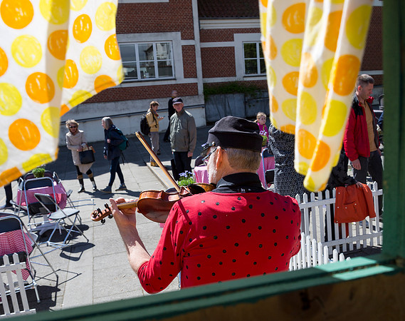 Sløngeldage-20150530-9989