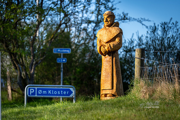 forår, Øm Klister-web- Fotograf Per Bille-20260501-AAA00820
