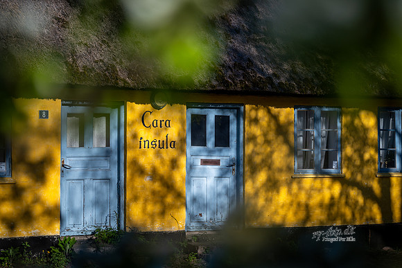 forår, Øm Klister-web- Fotograf Per Bille-20260501-AAA00833