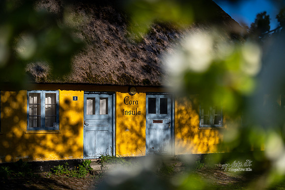 forår, Øm Klister-web- Fotograf Per Bille-20260501-AAA00835