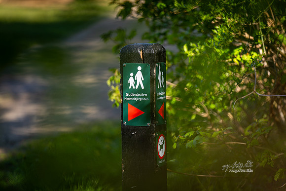 Gudenåstien-web- Fotograf Per Bille-20260501-AAA00935