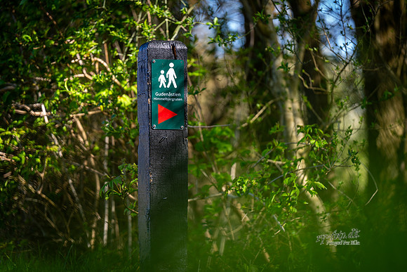 Gudenåstien-web- Fotograf Per Bille-20260501-AAA00931