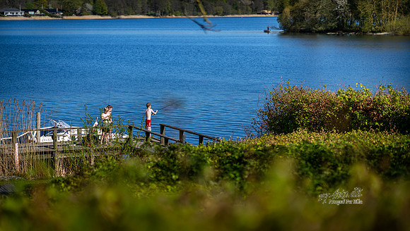 skanderborg Kulturhus, Skanderborg Sø-web- Fotograf Per Bille-20260501-AAA01028