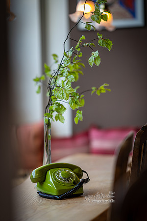 -web- Fotograf Per Bille-20260501-AAA00979