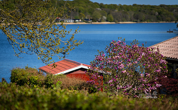 Skanderborg Sø-web- Fotograf Per Bille-20260501-AAA01026