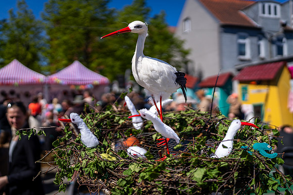 Sløngeldage-web- Fotograf Per Bille-20260509-AAA00069
