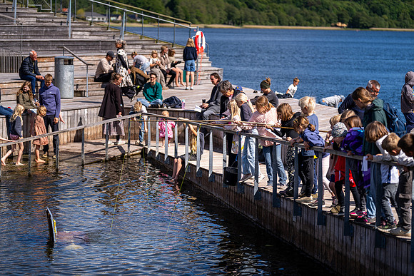 Sløngeldage-web-fotograf Per Bille-20250524AAA08921