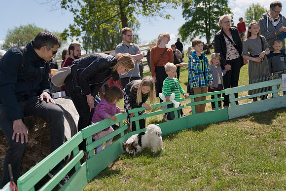 Sløngeldage lørdag - web - Fotograf Per Bille-20190525-00300