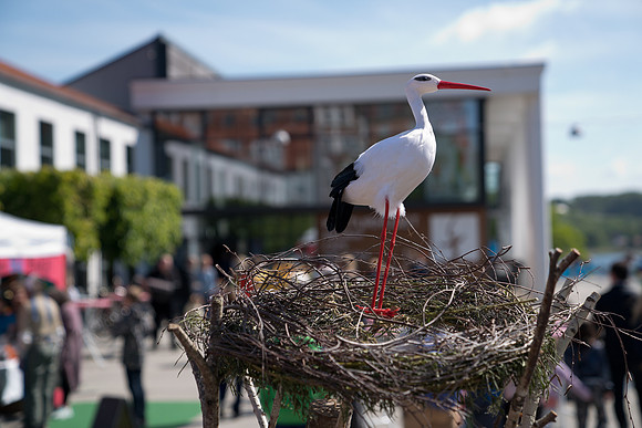 Sløngeldage lørdag - web - Fotograf Per Bille-20190525-09662