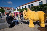 Sløngeldage lørdag - web - Fotograf Per Bille-20190525-09674