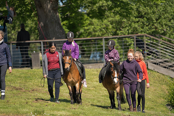Sløngeldage lørdag - web - Fotograf Per Bille-20190525-09830