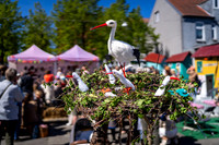 Sløngeldage-web- Fotograf Per Bille-20260509-AAA00072
