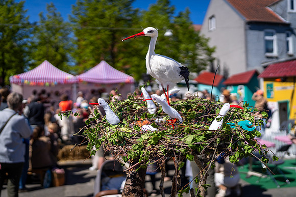 Sløngeldage-web- Fotograf Per Bille-20260509-AAA00072