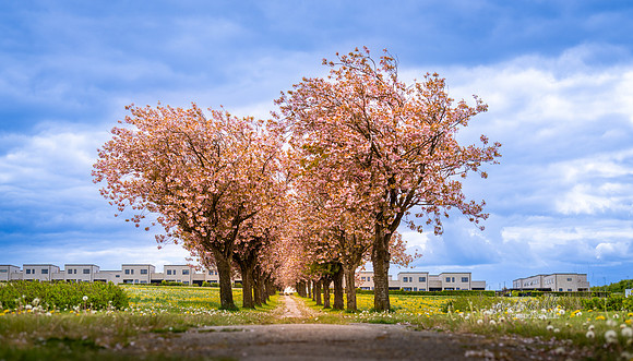 Galten-web- Fotograf Per Bille-20260512-AAA01833
