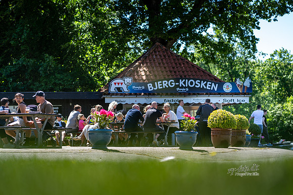 Bjerg Kiosken-web- Fotograf Per Bille-20260525-AAA02665