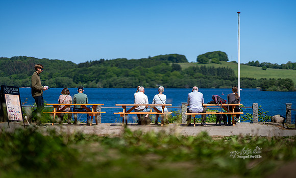 -web- Fotograf Per Bille-20260525-AAA02640