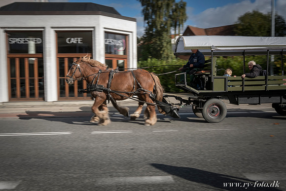 Web- Lyserød lørdag Ry - fotograf Per Bille-20161008-5234