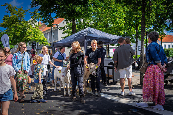 Skanderborg City - Landmænd kommer til byen-web- Fotograf Per Bille-20260606-AAA09384