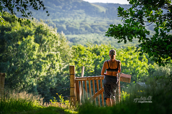 Bryggebjerg-web- Fotograf Per Bille-20260709-AAA04108