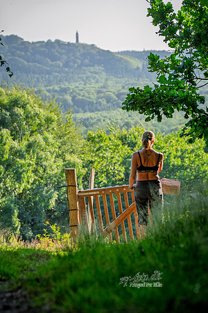 Bryggebjerg-web- Fotograf Per Bille-20260709-AAA04097