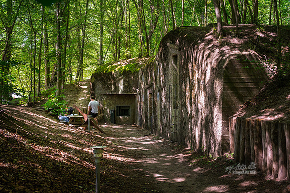 Bunker musseum, Skanderborg-web- Fotograf Per Bille-20260710-AAA04215