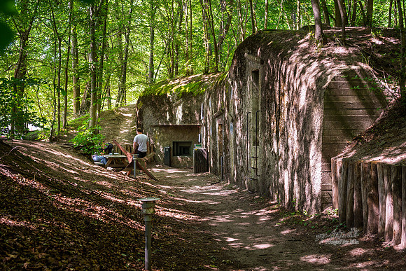 Bunker musseum, Skanderborg-web- Fotograf Per Bille-20260710-AAA04218
