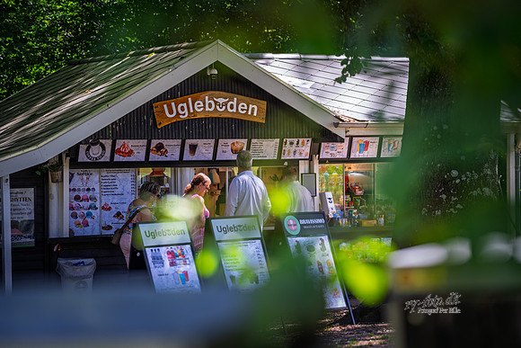 Himmelbjerget, Ugleboden-web- Fotograf Per Bille-20260711-AAA04349
