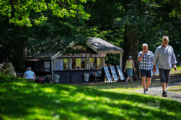 Himmelbjerget, Ugleboden-web- Fotograf Per Bille-20260711-AAA04445