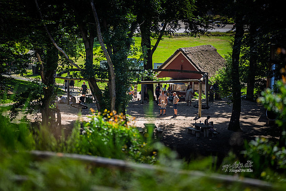 Himmelbjerget-web- Fotograf Per Bille-20260711-AAA04359