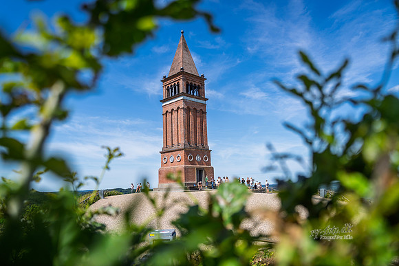 Himmelbjerget-web- Fotograf Per Bille-20260711-AAA04379