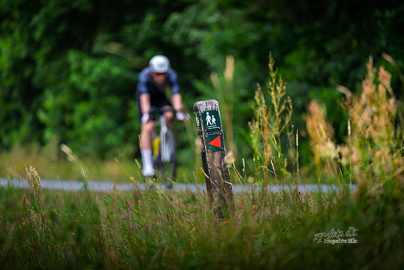 cyklist, Emborg bro-web- Fotograf Per Bille-20260726-AAA04948