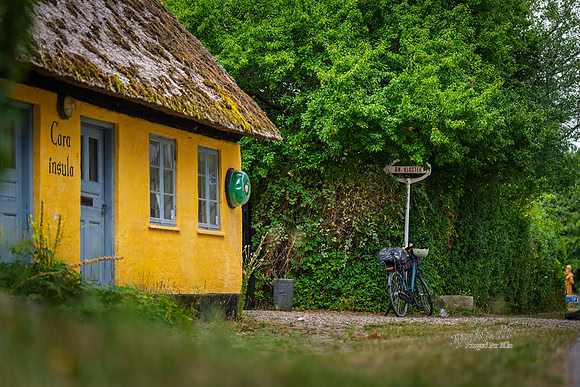 Øm Kloster - cyklister-web- Fotograf Per Bille-20260726-AAA05021