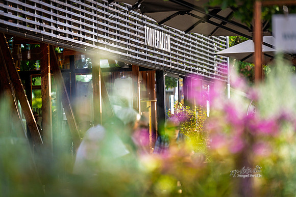 Torvehallen-web- Fotograf Per Bille-20260730-AAA05360
