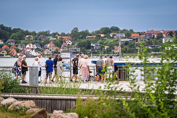 Bybadet-web- Fotograf Per Bille-20260730-AAA05378